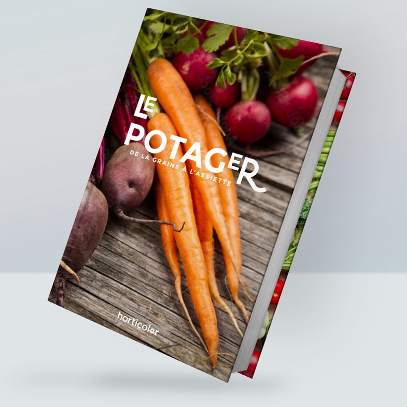 Le Potager - De la graine à l'assiette - le guide main product photo