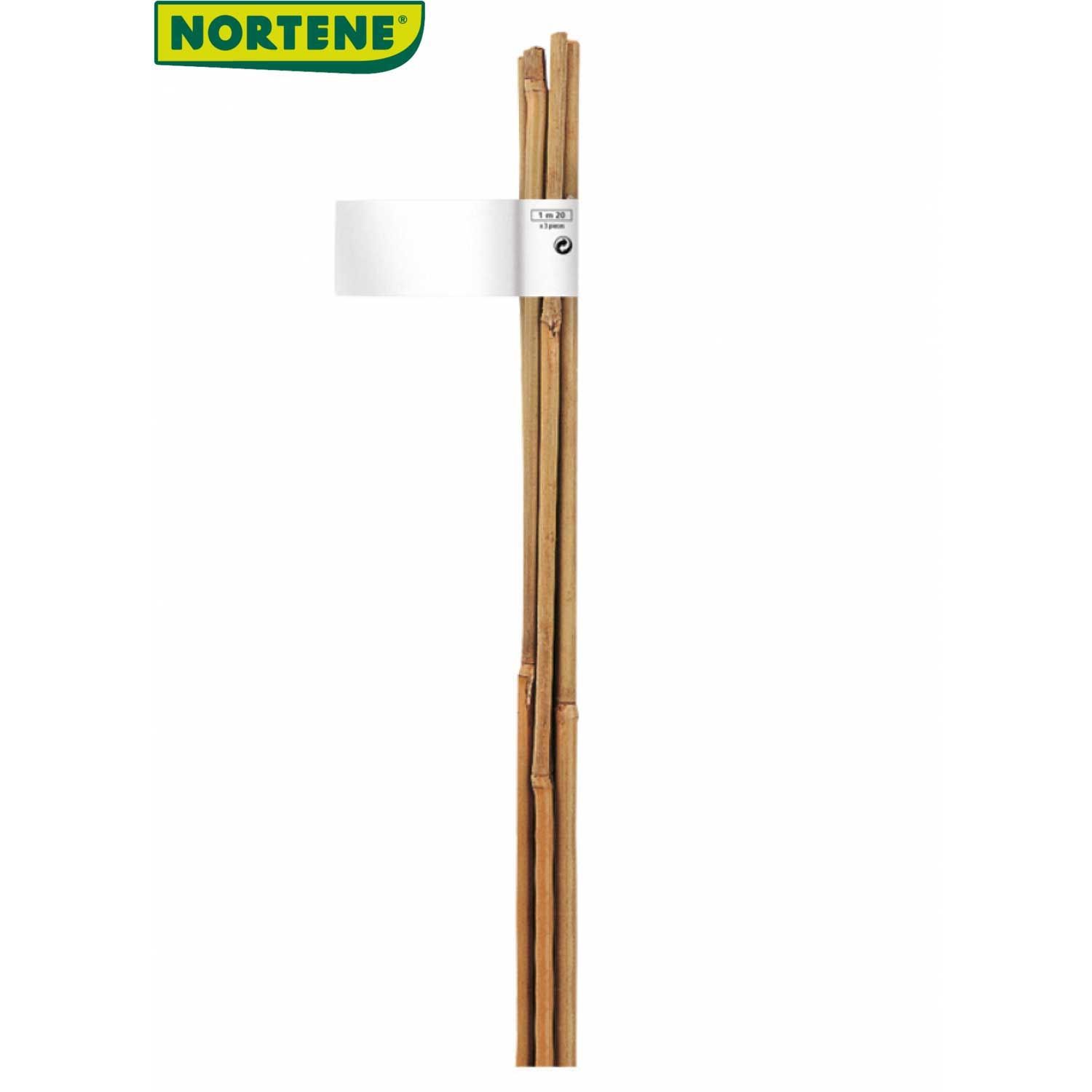 Tuteur bambou naturel - BAMBOO main product photo
