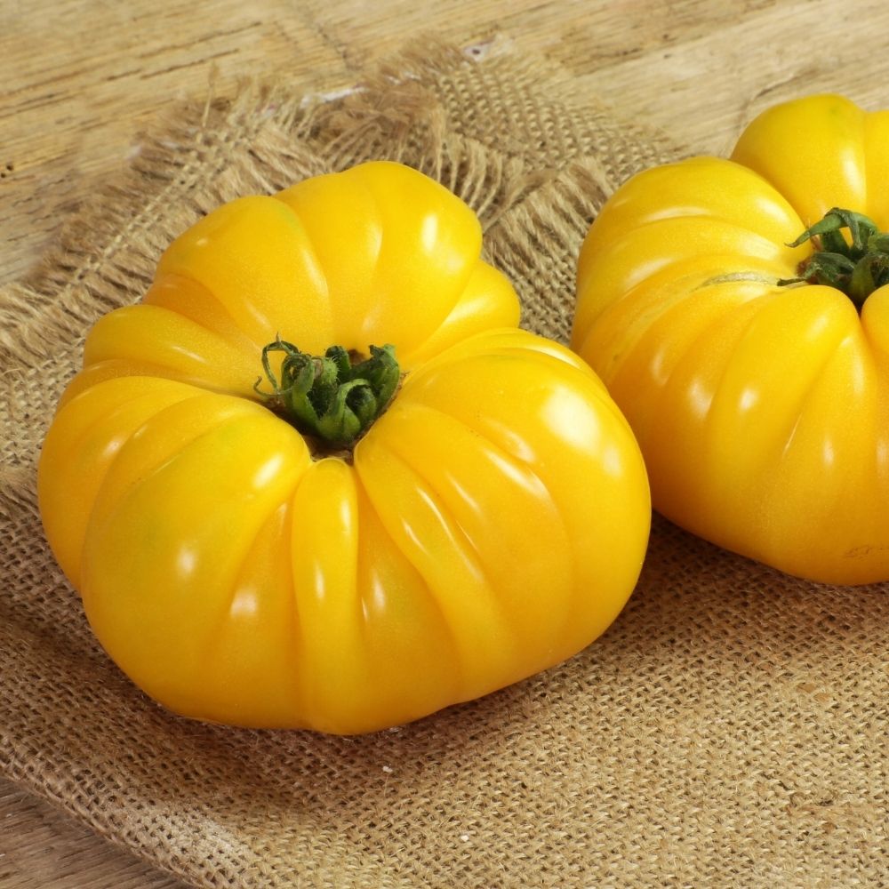 Plant de Tomate Ananas main product photo