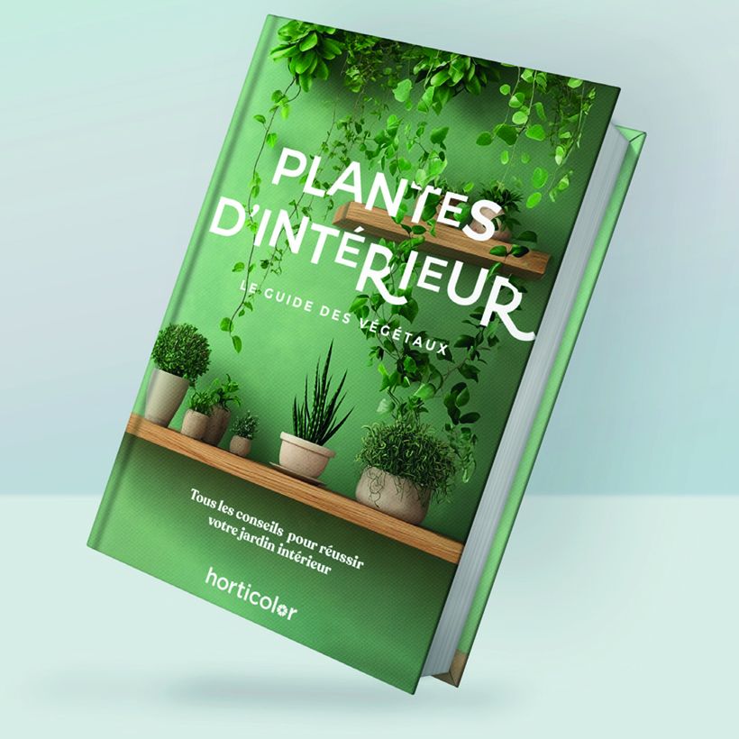 Plantes d’Intérieur - Guide Horticolor main product photo