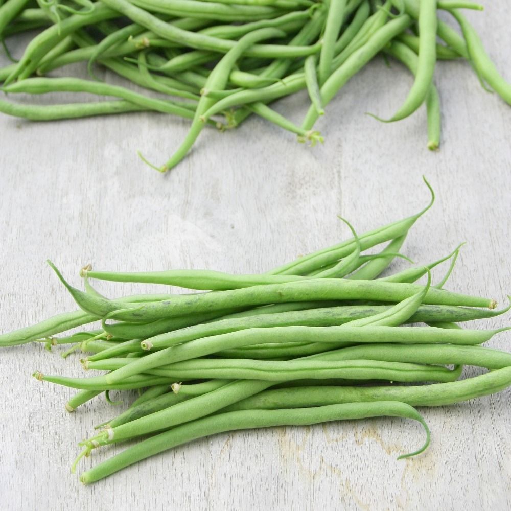 Haricot nain filet sans fil Vanilla main product photo