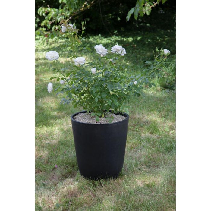 Pots de fleurs et cache-pots jusqu'à 70% de réduction