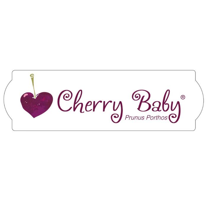 Cerisier nain CHERRY BABY ® ‘Porthos’ gamme FRUITALITY ®
