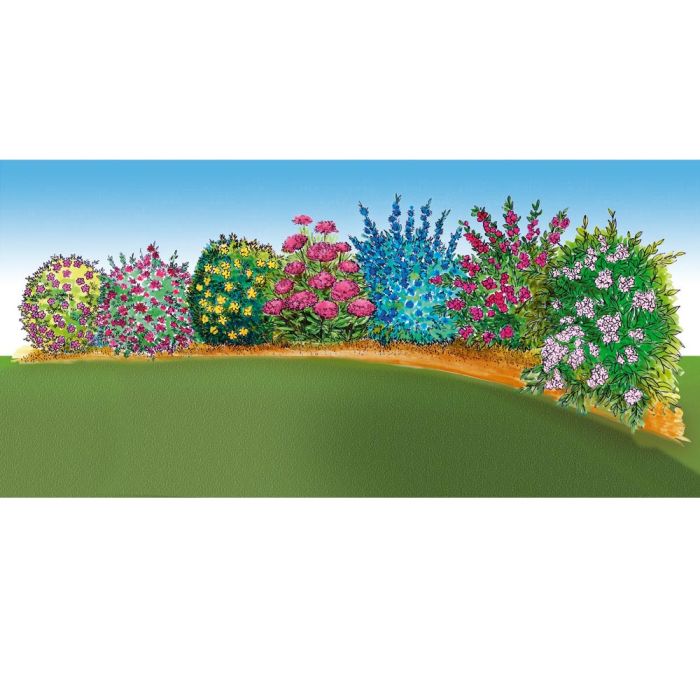 Colis spécial haie fleurie basse