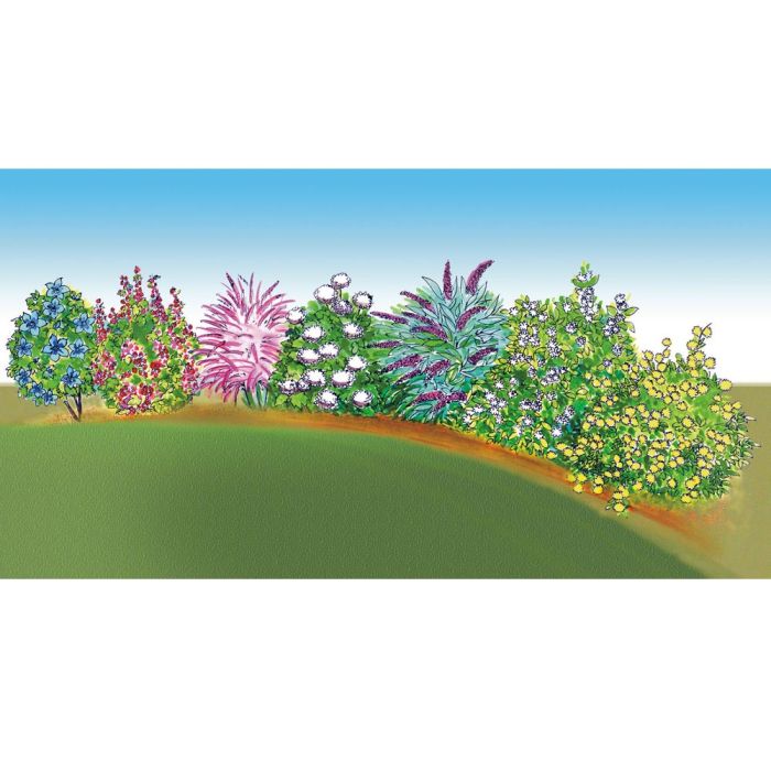 Colis spécial haie fleurie haute