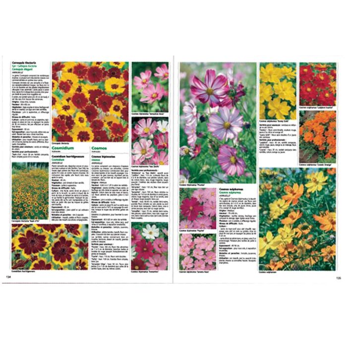 Livre fleurs annuelles et bisanuelles