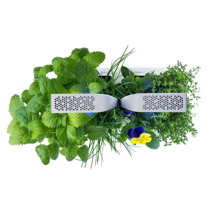 Potager d'intérieur Véritable® SMART