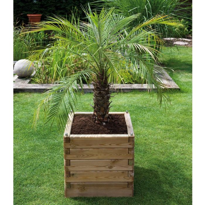 Bac en pin carré Oléa 60 cm