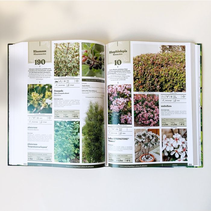 Livre Arbres et arbustes