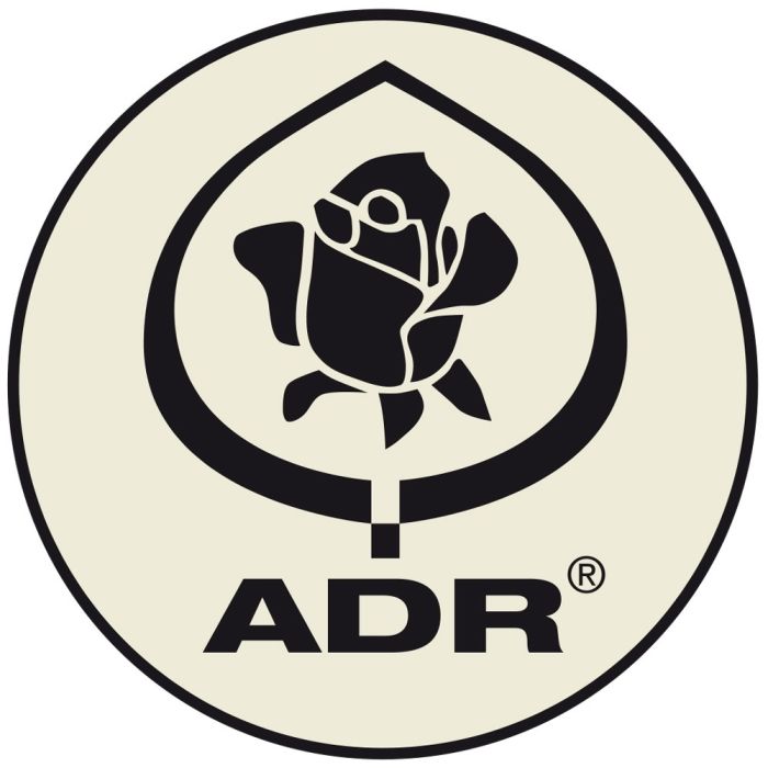 Rosier paysager DEBORAH MEILLANDECOR ® Meinoiral