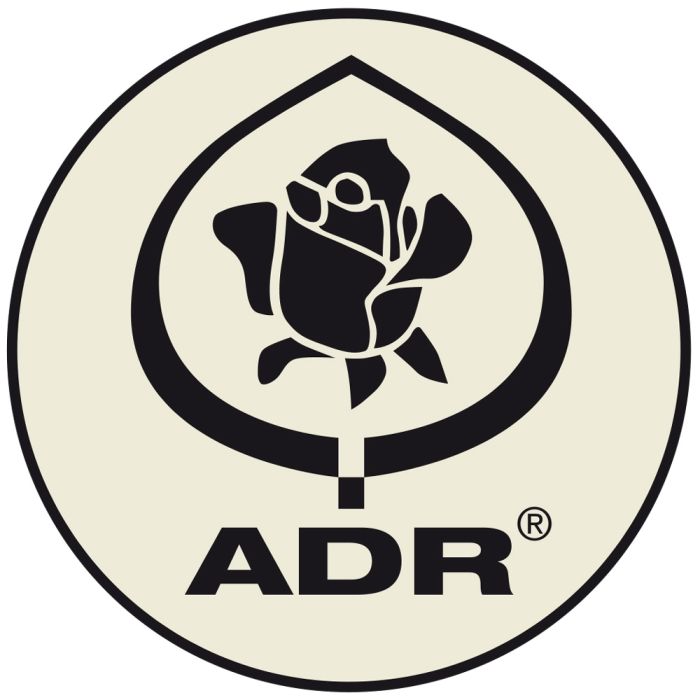 Rosier PRINCE JARDINIER ® Meitroni ADR