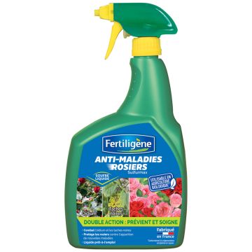 Anti-Maladies Rosiers