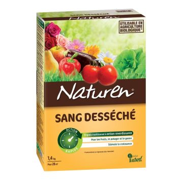 Sang désséché