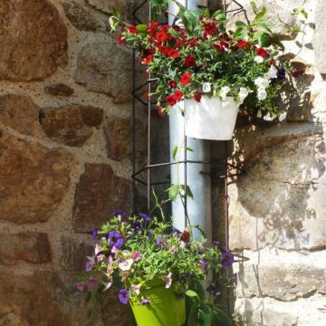 Cache gouttière clipsable avec des plantes