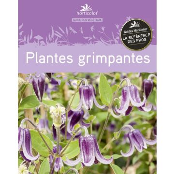 Guide des plantes grimpantes