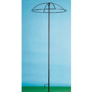 Tuteur parapluie simple pour rosier pleureur H 2.5 m