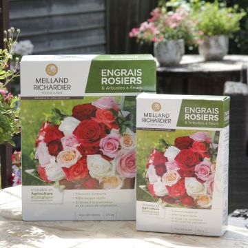 Engrais rosiers et arbustes à fleurs Meilland Richardier