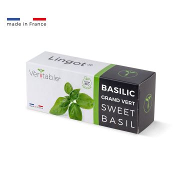 Lingot® Basilic Grand Vert BIO
