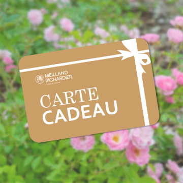 Carte cadeau pour plantes et accessoires