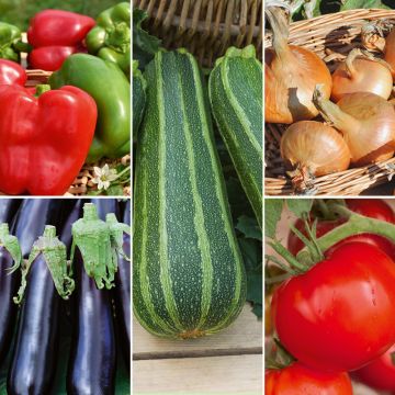 Tomates à semer au potager- Graines potagères