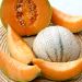 Melon Charentais BIO