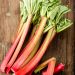 Plant de Rhubarbe