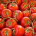 Tomate grappe Matina BIO
