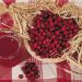 Cranberry, canneberge à gros fruits ou Vaccinium macrocarpon