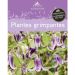 Guide des plantes grimpantes