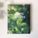 Livre Arbres et arbustes