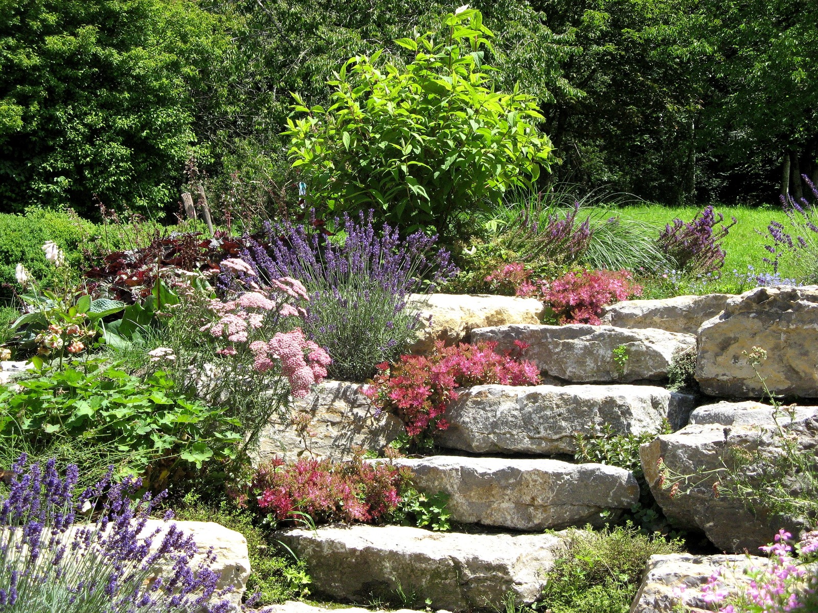 https://www.meillandrichardier.com/media/cms/page/jardin_ambiance_xeriscaping.jpg