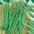 Vente de graines d'haricots
