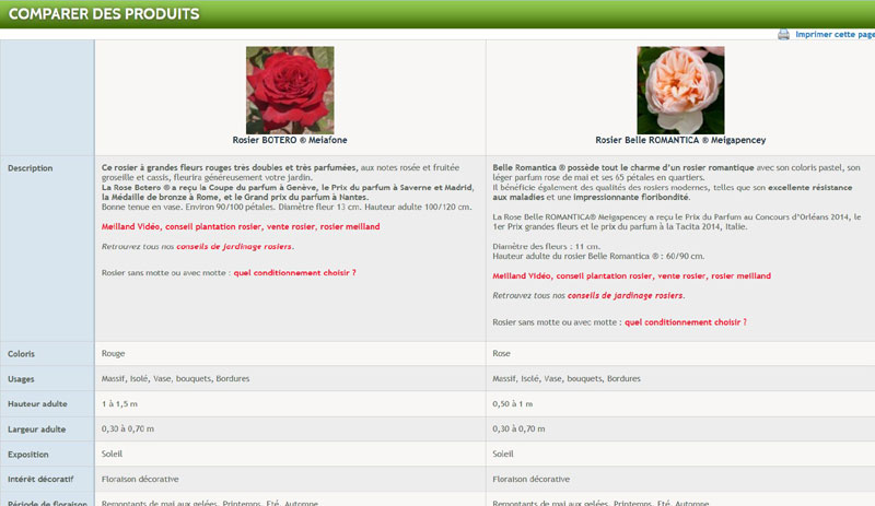 Vente plantes