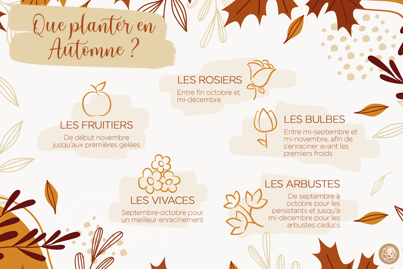 Que planter en automne ?