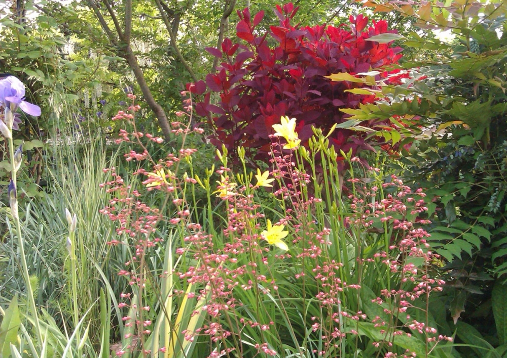 Envie Dun Jardin Fleuri En Automne
