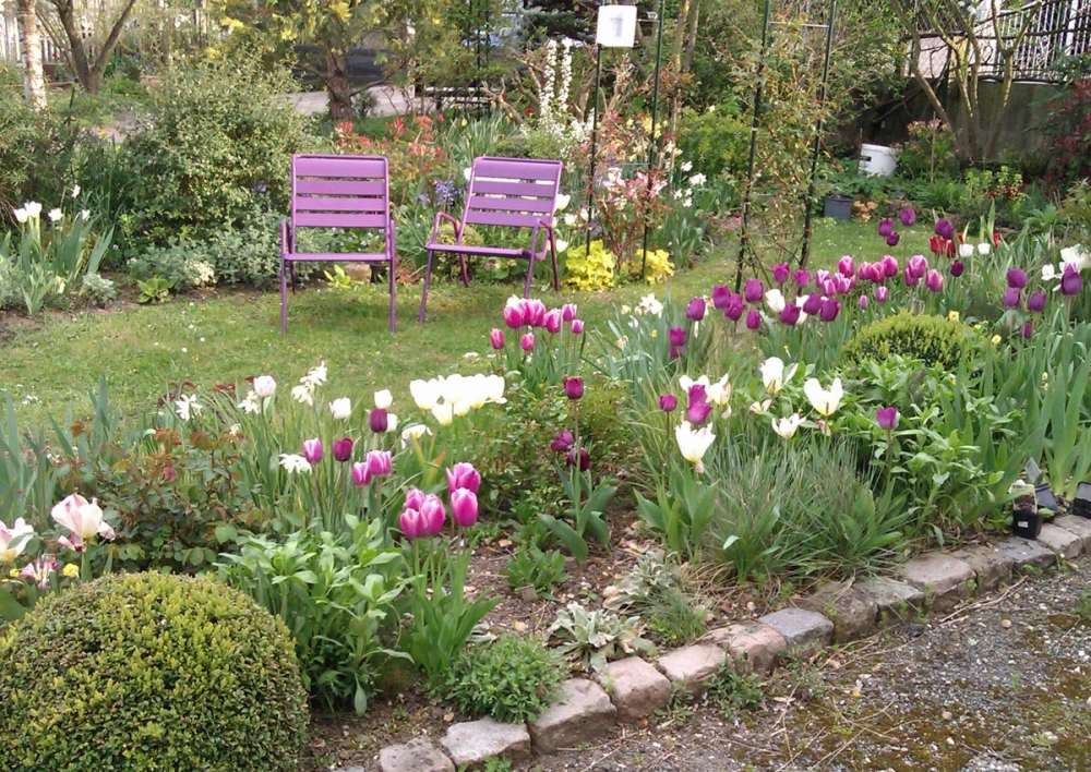 Nos Jardins En Couleurs