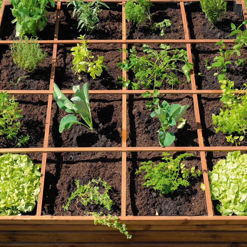 Un Mini Potager Sur Le Balcon