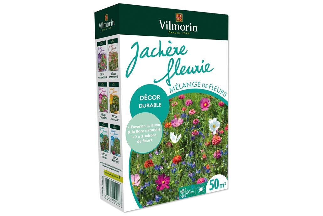 Un jardin coloré et écologique avec la jachère fleurie — free download