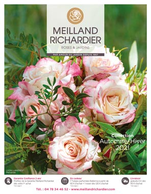 Automne / Hiver 2021