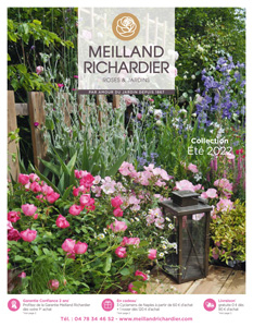Meilland Richardier Catalogue 2022