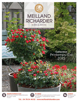 Meilland Richardier Catalogue 2022