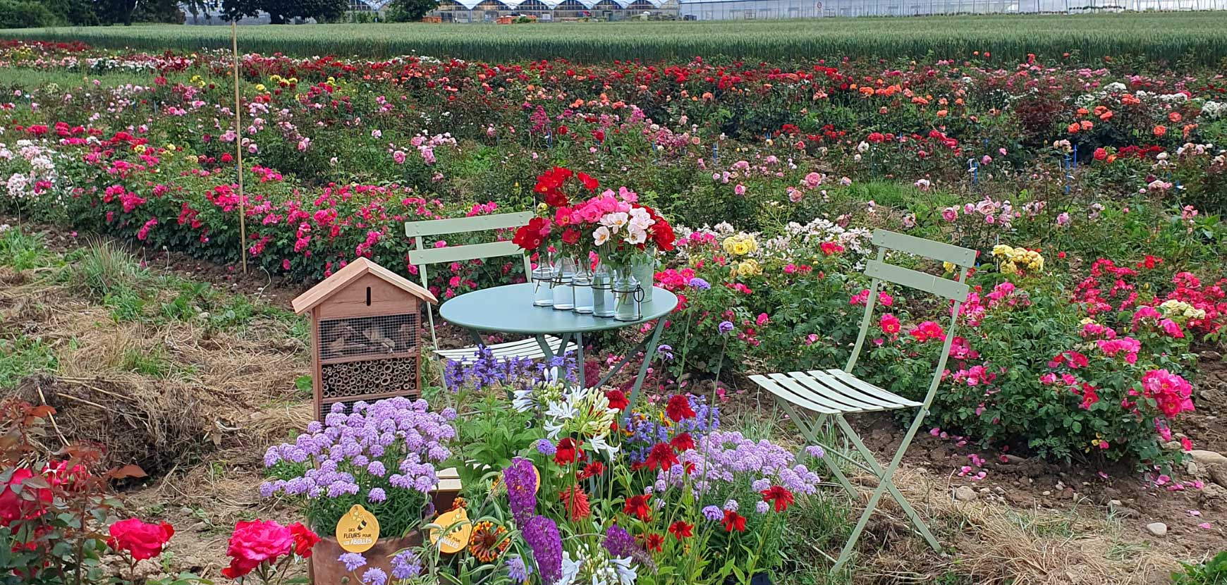 Facebook Live - Plantes mellifères