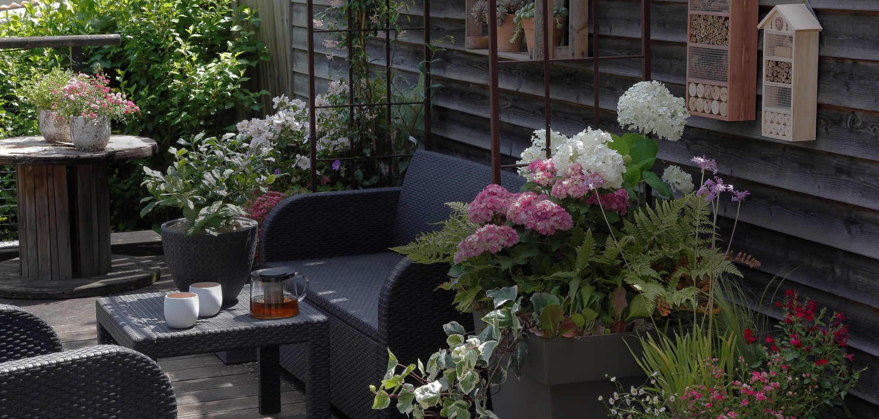 Les plantes qui vont pimper vos balcons et terrasses cet été !