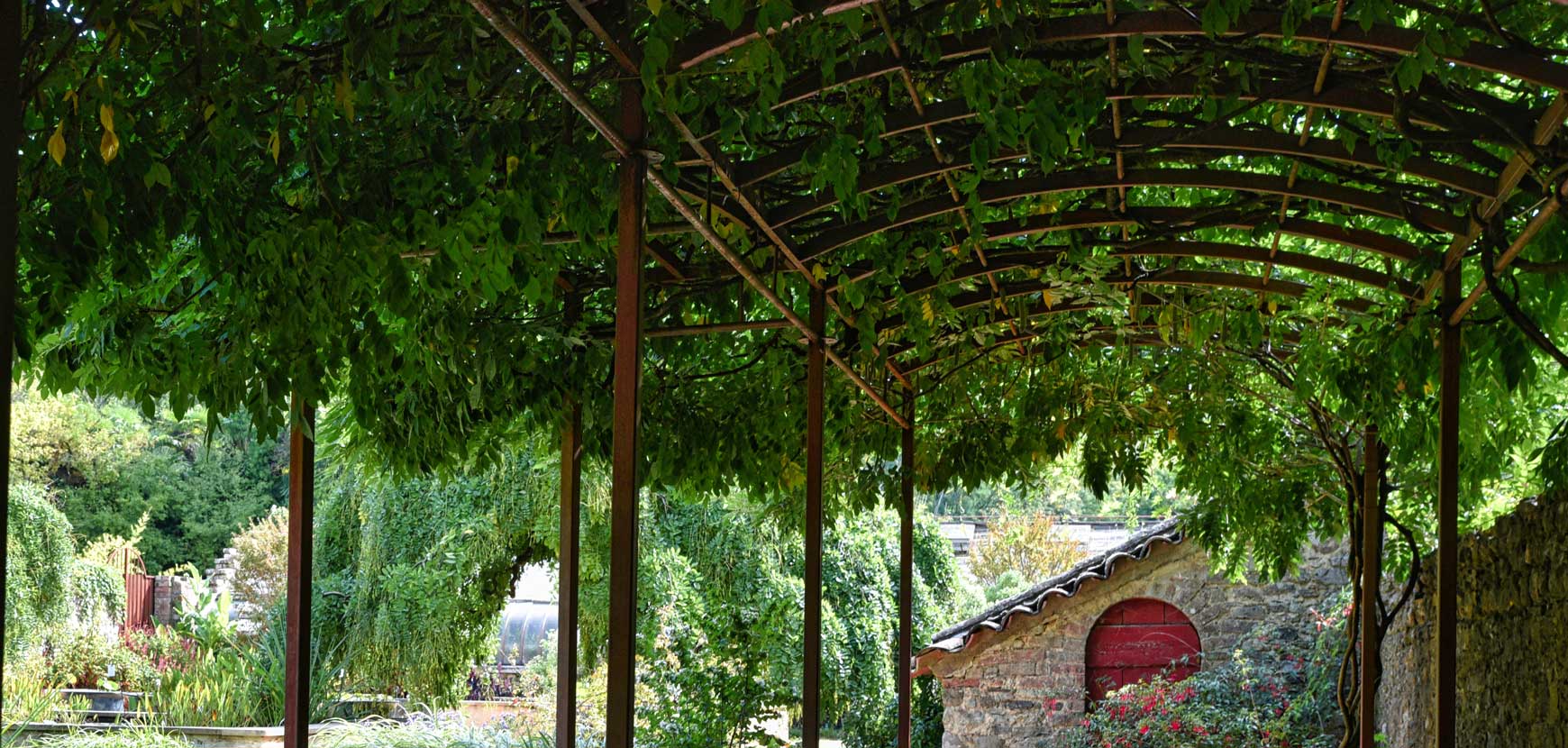 Créez une ambiance spectaculaire avec des plantes retombantes en balco