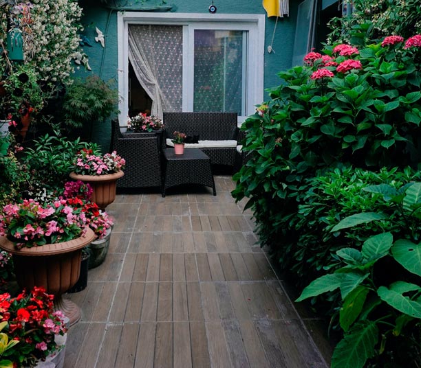 Jardin d'ombre urbain