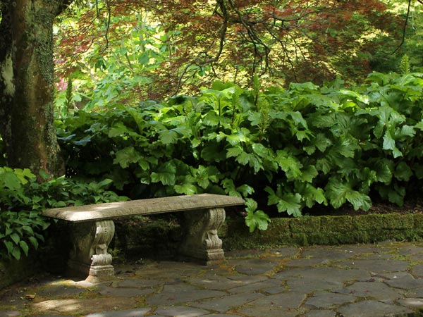 https://www.meillandrichardier.com/media/wysiwyg/conseils-inspi/inspi-bulle-de-fraicheur/jardin-ambiance-ombre.jpg