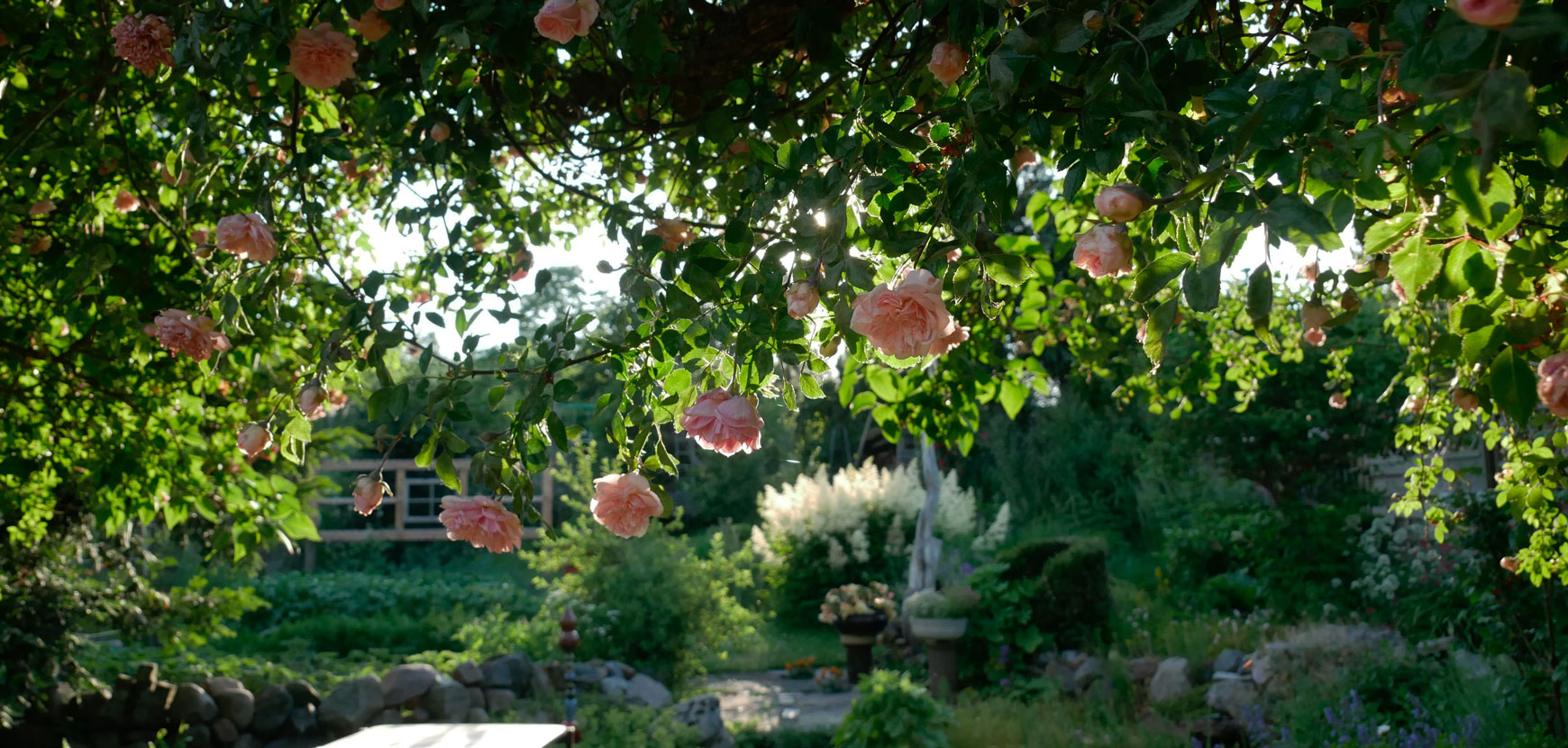 Tendance romantique, les 3 points-clés pour réussir son ambiance de jardin