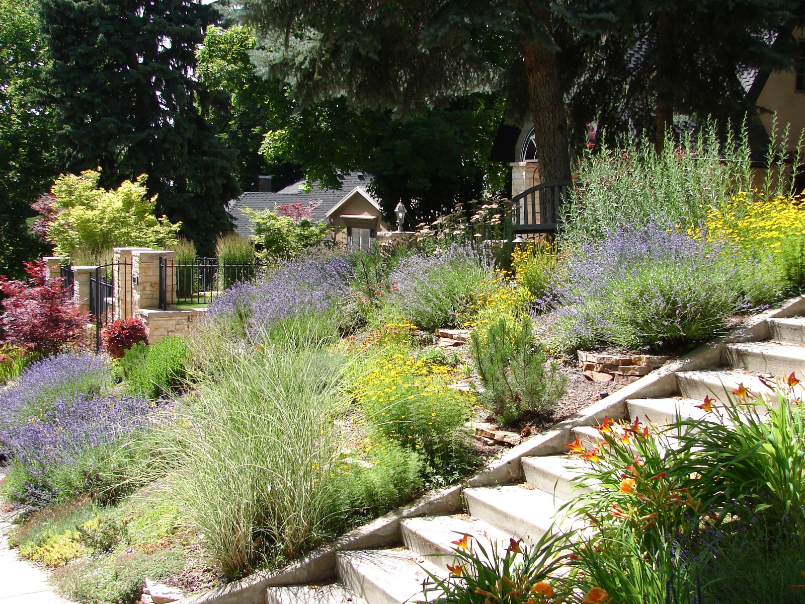 Inspiration xeriscaping