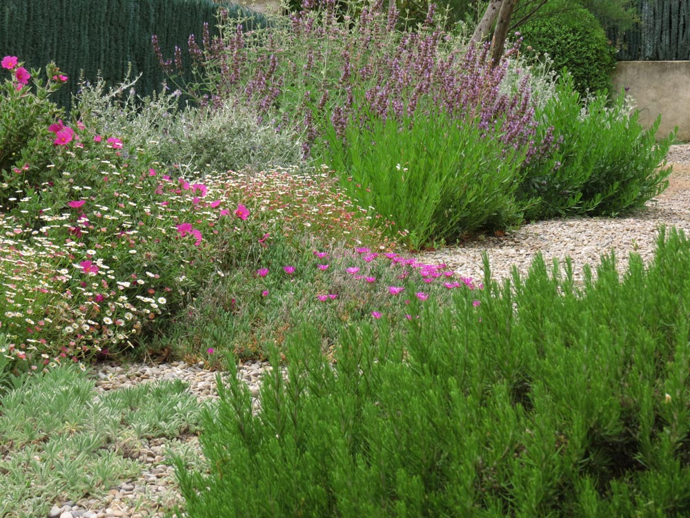 https://www.meillandrichardier.com/media/wysiwyg/conseils-inspi/inspi-xeriscaping/paillage.jpg