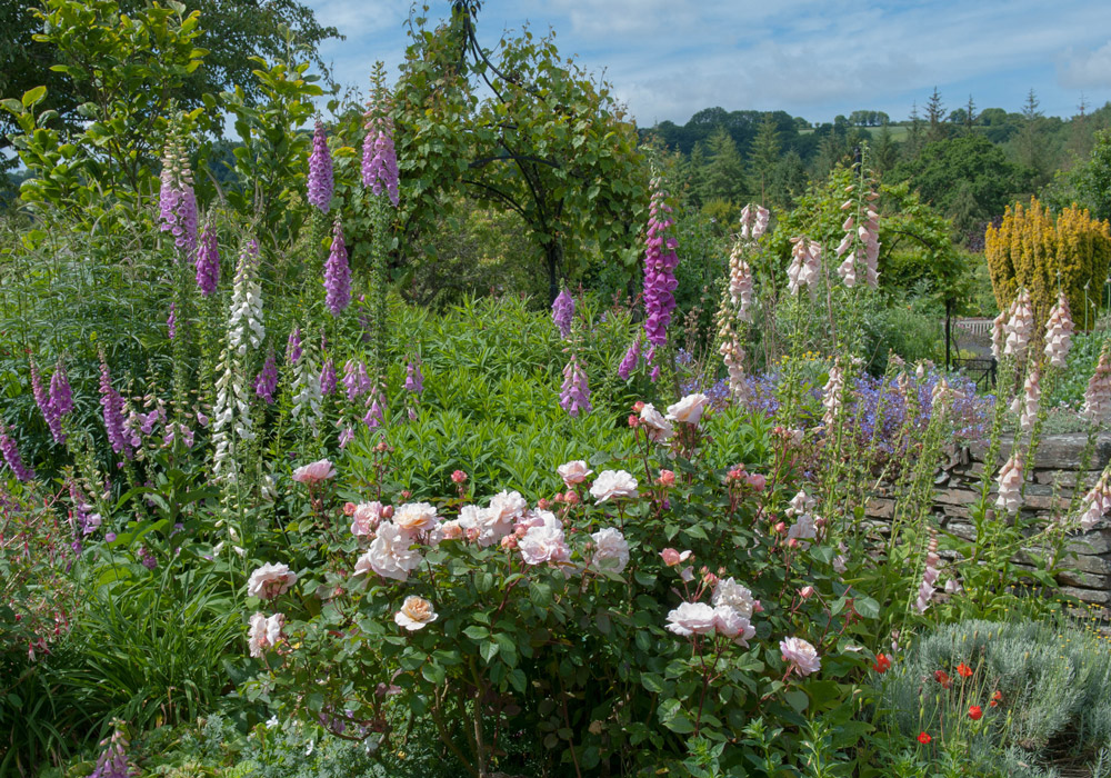 Jardin à l